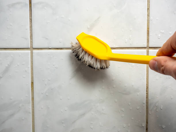 Best Home Mold Removal  in Risg Sun, IN